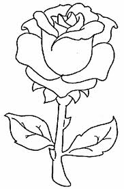Rose 2
